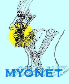 logogifb.jpg (8432 Byte)